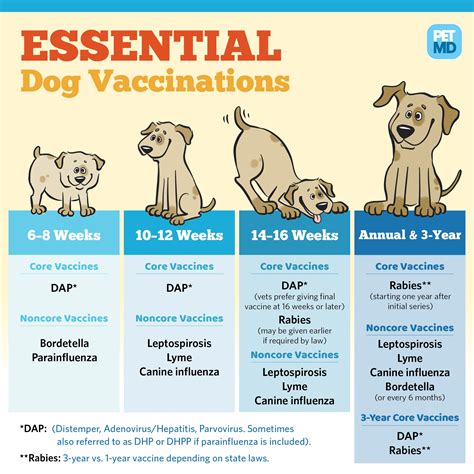 Pet Vaccination Guide 